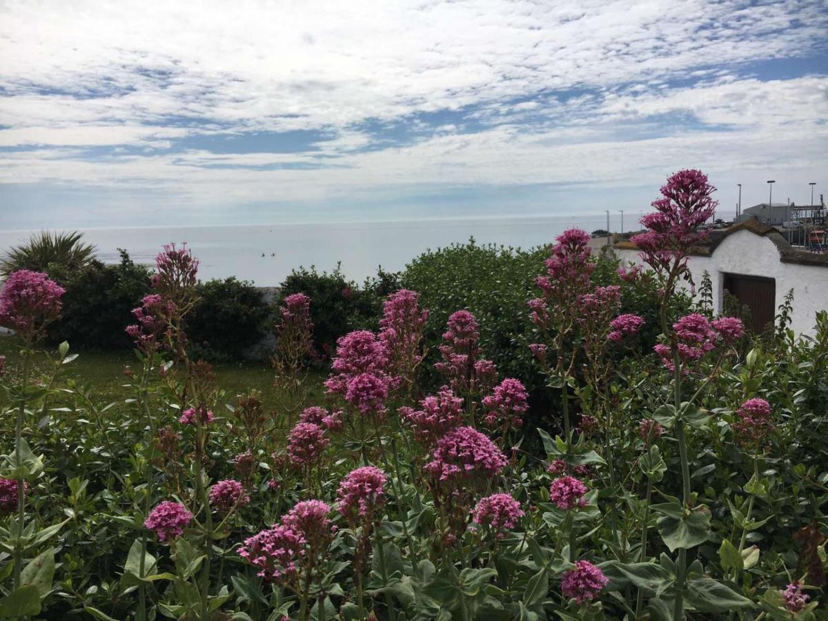 The Wooden House Hotel Kilmore Quay Eksteriør billede
